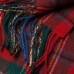 Clans of Scotland MacLean of Duart